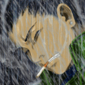 Namidosaki